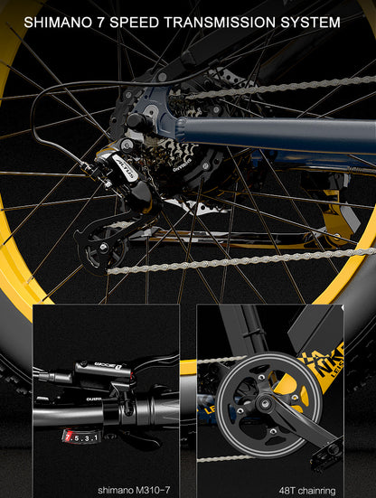 RV700 1000W 48V 16Ah Powerful Electric Bicycle 26 Inch Beach Bike Mountain (ang.). Bike Upgrad Oil Spring Downhill Fork Dual Suspension (ang.)